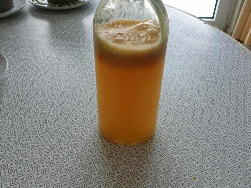 Cliquez pour zoomer ! Jus de fruits ACE Thermomix par emi_66