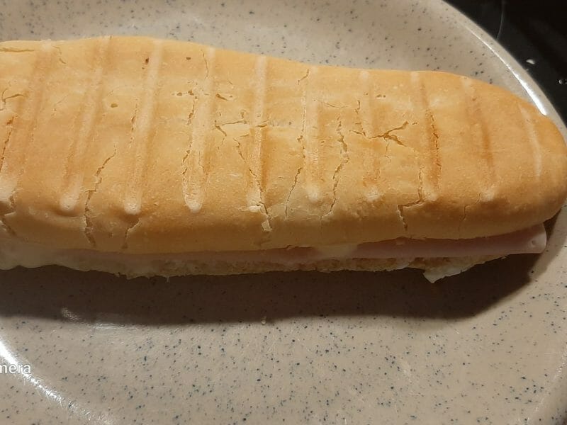 Cliquez pour zoomer ! Panini Thermomix par chaai