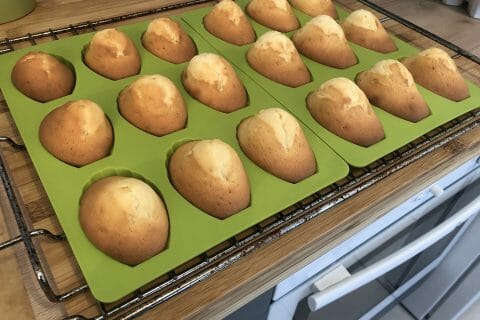 Cliquez pour zoomer ! Madeleines Thermomix par taoping