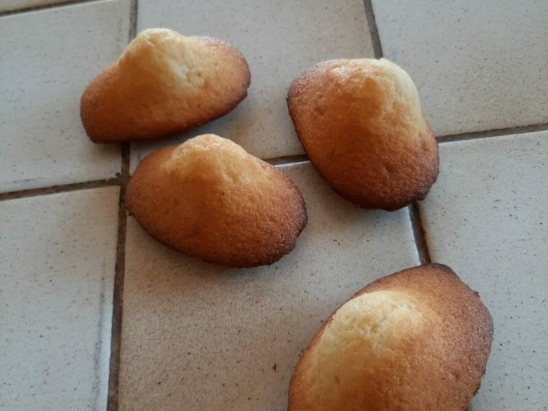 Cliquez pour zoomer ! Madeleines Thermomix par annie_85
