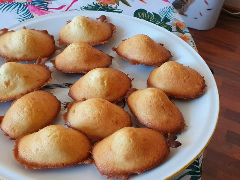 Cliquez pour zoomer ! Madeleines Thermomix par amnesia25