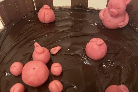 Cliquez pour zoomer ! La mare aux cochons Thermomix par murielle_53