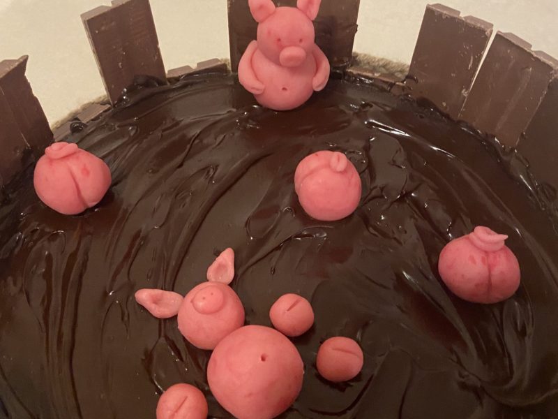 Cliquez pour zoomer ! La mare aux cochons Thermomix par murielle_53