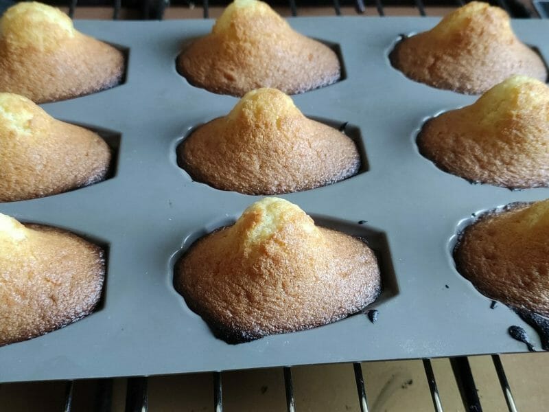 Cliquez pour zoomer ! Madeleines Thermomix par nathalie_634