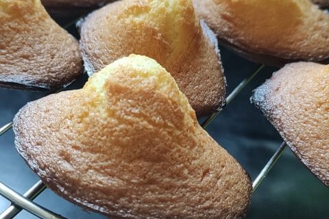 Cliquez pour zoomer ! Madeleines Thermomix par nathalie_634
