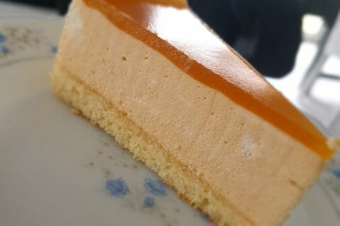 Cliquez pour zoomer ! Bavarois à l’abricot Thermomix par mamoune4