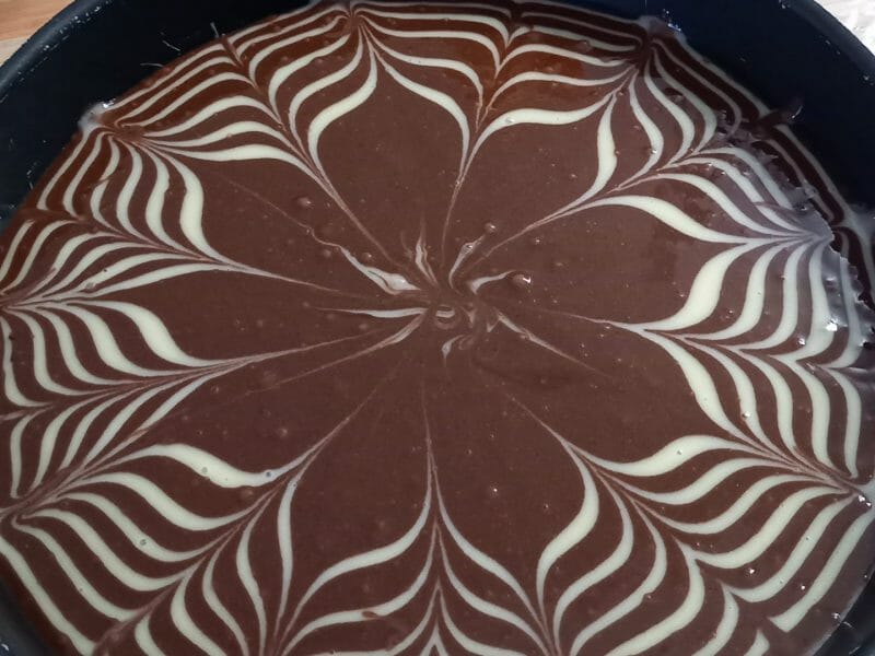 Cliquez pour zoomer ! Gâteau zébré Thermomix par Cat24