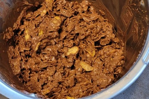 Cliquez pour zoomer ! Roses des sables Thermomix par tinacat