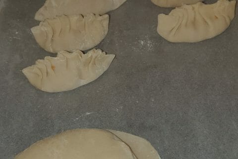 Cliquez pour zoomer ! Gyoza poulet et chou chinois Thermomix par cissouna