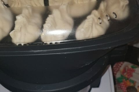 Cliquez pour zoomer ! Gyoza poulet et chou chinois Thermomix par cissouna