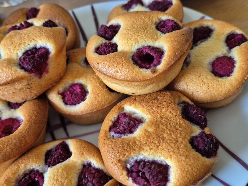 Cliquez pour zoomer ! Visitandines aux framboises Thermomix par kamille22