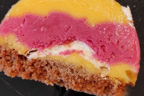 Bûche glacée mangue et framboise Thermomix par sego_pinup