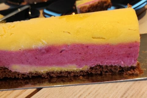 Bûche glacée mangue et framboise Thermomix par sego_pinup