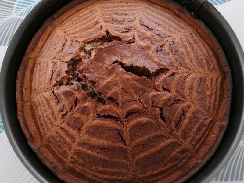 Cliquez pour zoomer ! Gâteau zébré Thermomix par Lolobibop