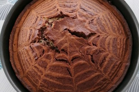 Cliquez pour zoomer ! Gâteau zébré Thermomix par Lolobibop