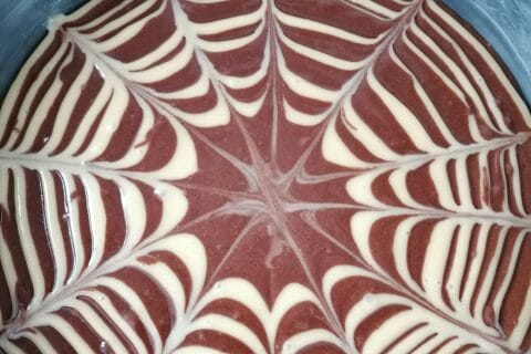 Cliquez pour zoomer ! Gâteau zébré Thermomix par Lolobibop