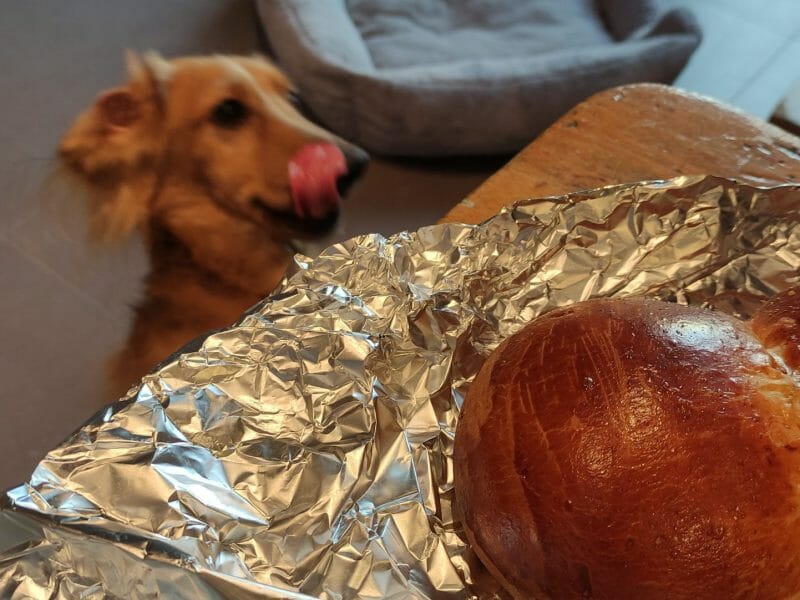 Cliquez pour zoomer ! Cougnou – Coquille de Noël Thermomix par karosi