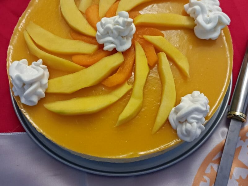 Cliquez pour zoomer ! Bavarois à l’abricot Thermomix par kfrinecomore77