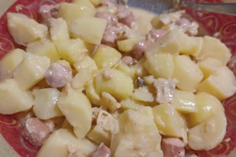 Cliquez pour zoomer ! Photo de Castor