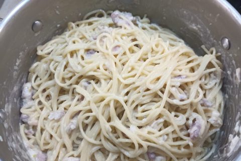 Cliquez pour zoomer ! Photo de Castor