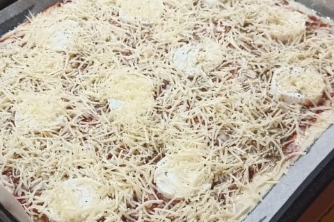 Cliquez pour zoomer ! Photo de Castor