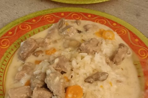 Cliquez pour zoomer ! Photo de Castor