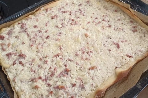 Cliquez pour zoomer ! Photo de Castor