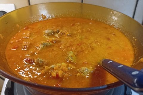 Cliquez pour zoomer ! Photo de Castor