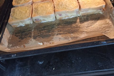 Cliquez pour zoomer ! Photo de Castor