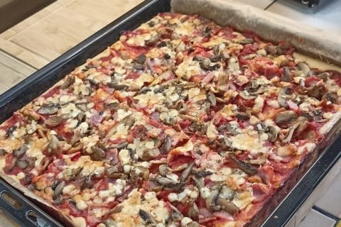 Cliquez pour zoomer ! Photo de Castor