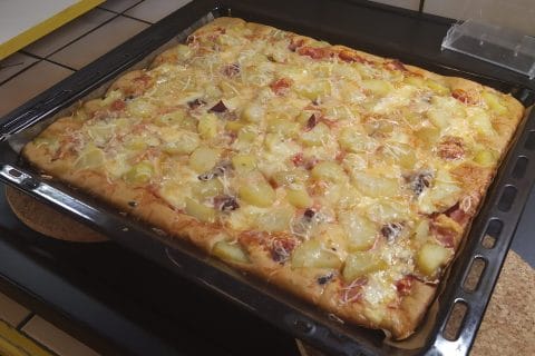 Cliquez pour zoomer ! Photo de Castor