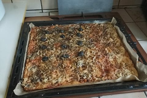 Cliquez pour zoomer ! Photo de Castor