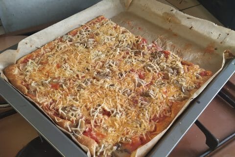 Cliquez pour zoomer ! Photo de Castor