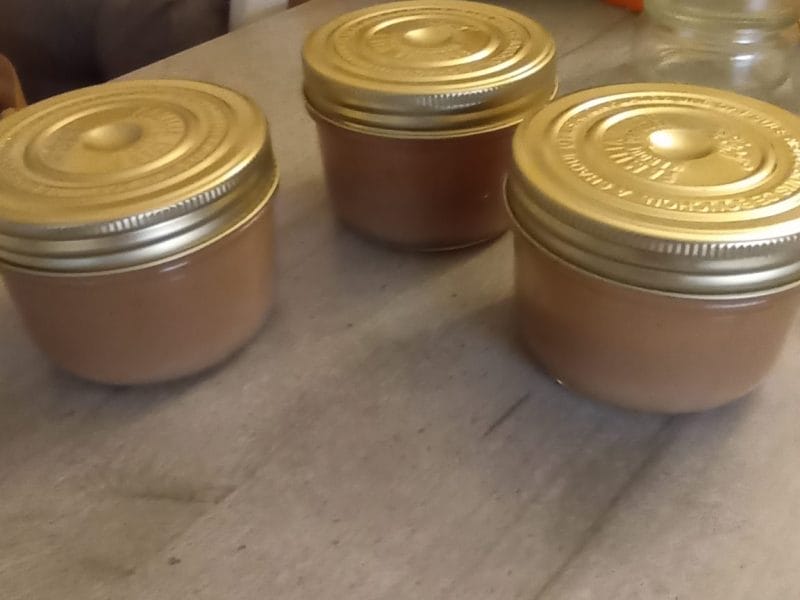 Cliquez pour zoomer ! Confiture de châtaignes Thermomix par Castor