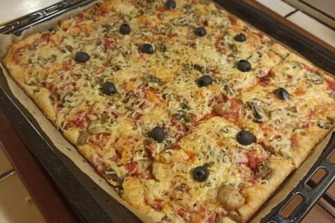 Cliquez pour zoomer ! Pizza liquide Thermomix par Castor