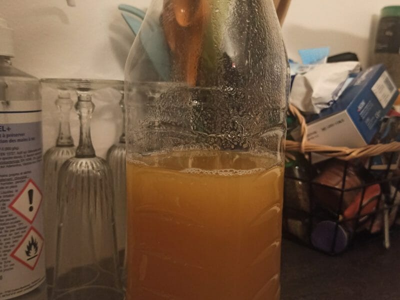 Cliquez pour zoomer ! Jus de pommes Thermomix par elowdiie_2