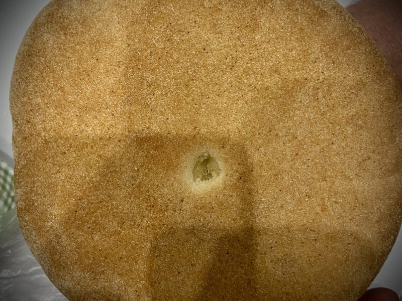 Cliquez pour zoomer ! Pains à la semoule au four Thermomix par Hinata94