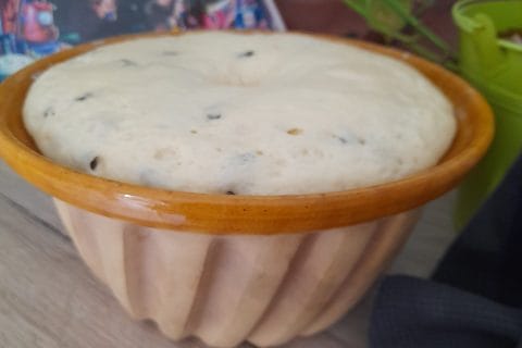 Cliquez pour zoomer ! Kougelhopf Thermomix par yannicook