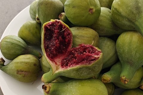 Cliquez pour zoomer ! Confiture de figues Thermomix par luciechine