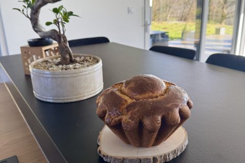 Cliquez pour zoomer ! Brioche du boulanger Thermomix par Wendy