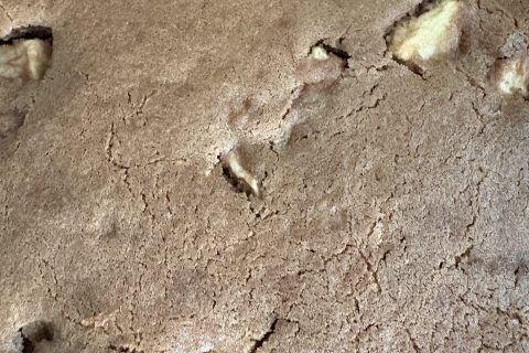 Cliquez pour zoomer ! Moelleux aux spéculoos Thermomix par Audrey 30