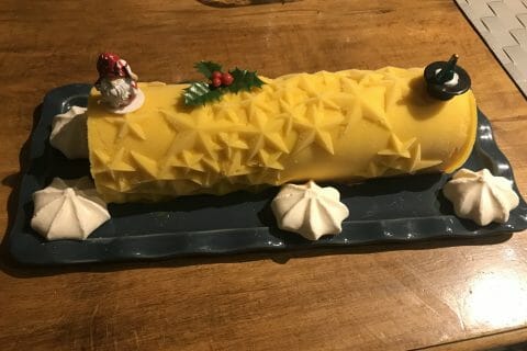 Cliquez pour zoomer ! Bûche glacée mangue et framboise Thermomix par cloobiou