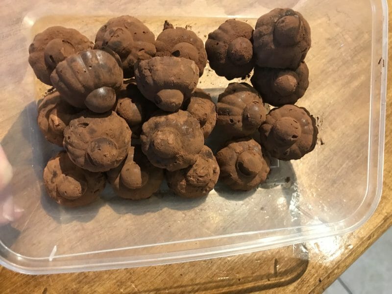 Cliquez pour zoomer ! Truffes au chocolat Thermomix par cloobiou