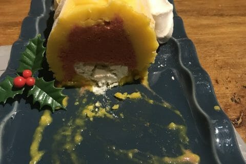 Cliquez pour zoomer ! Bûche glacée mangue et framboise Thermomix par cloobiou