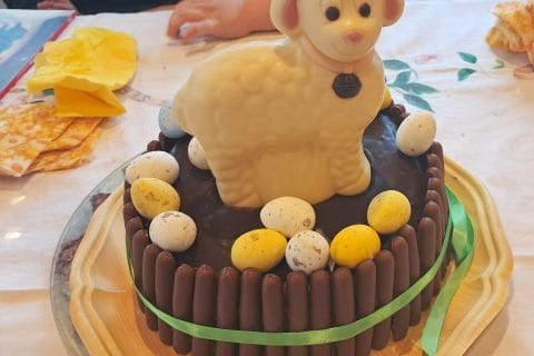 Cliquez pour zoomer ! Gâteau lapin de Pâques Thermomix par momo3359