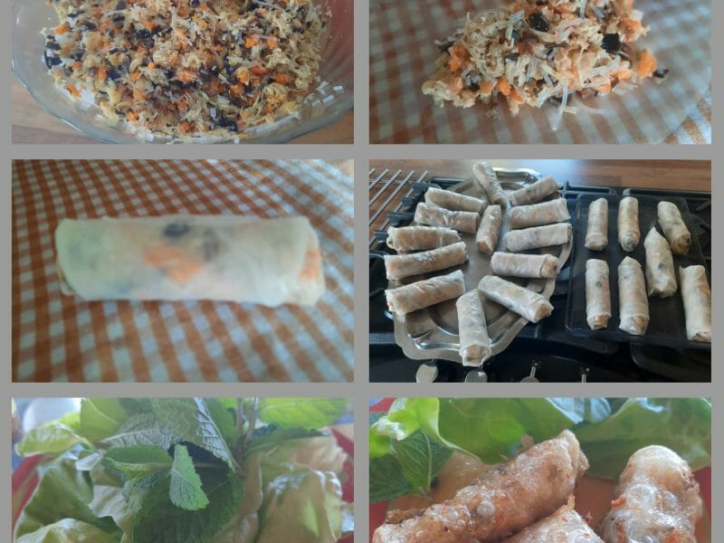 Cliquez pour zoomer ! Nems au poulet Thermomix par momo3359