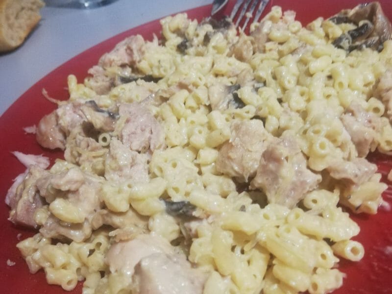 Cliquez pour zoomer ! Paupiettes de veau aux champignons Thermomix par julie_799