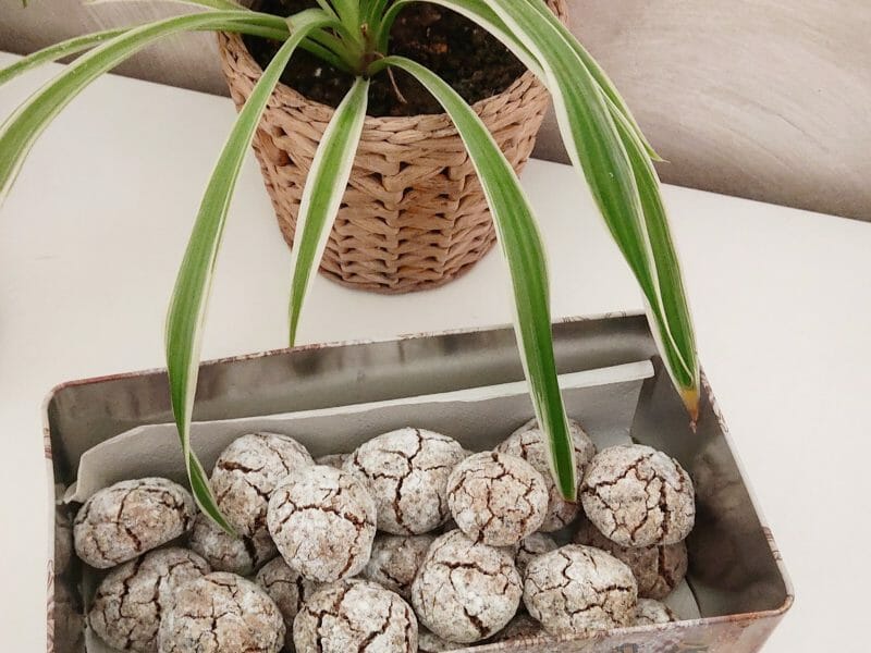 Cliquez pour zoomer ! Boules au chocolat Thermomix par cocotte67400