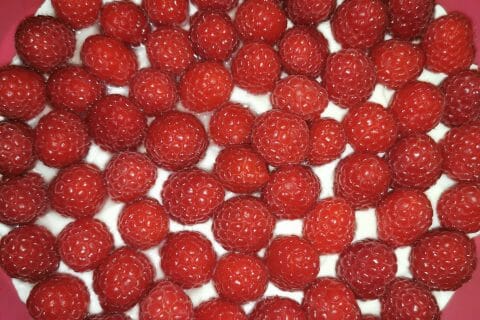 Cliquez pour zoomer ! Tarte aux fraises sans cuisson Thermomix par madie_