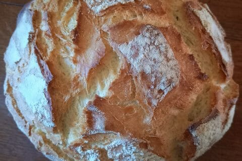 Cliquez pour zoomer ! Photo de maga30350